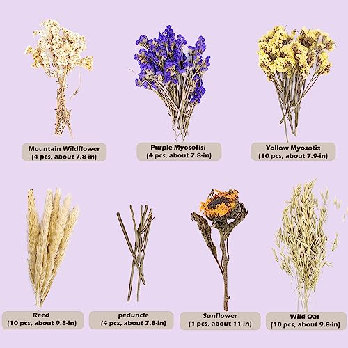 Natural Ear of Grain Flower&Herb Bedding Mate Habitat Decor (Flower Style)
