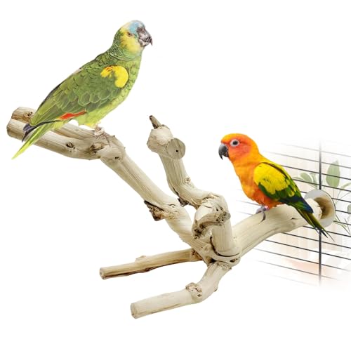 Bird Perch Stand 10"