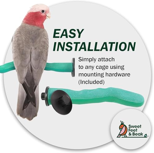 Safety Pumice Bird Perch (Green / Large 12")