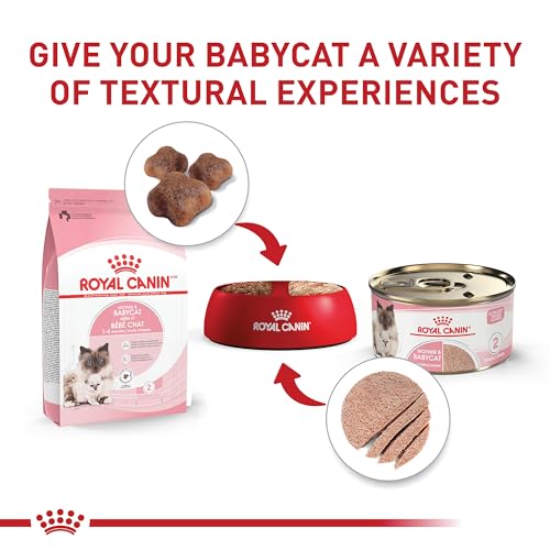 Feline Health Nutrition Mother & Babycat Queen Ultra Soft Mousse in Sauce Cat Food (3 Ounce (Pack of 24))