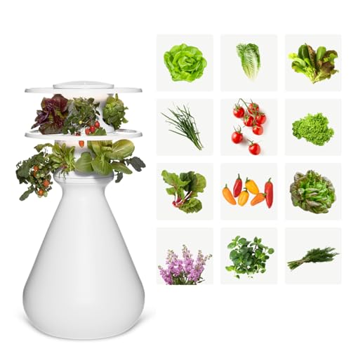 Farmstand Indoor Kit (12 Seedlings / Indoor With Seedlings)