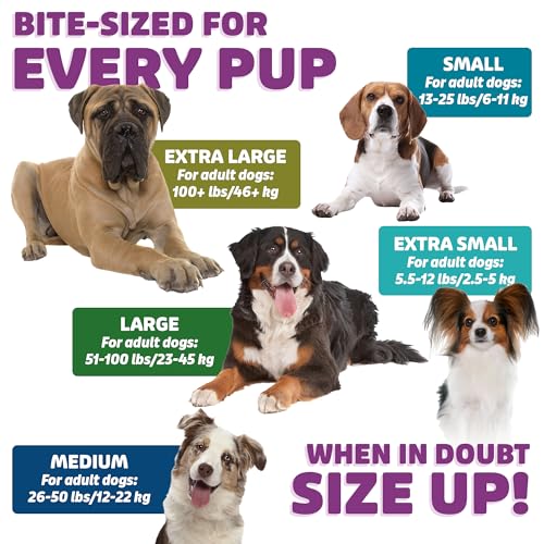 Dog Dental Treats (12 Ounce)