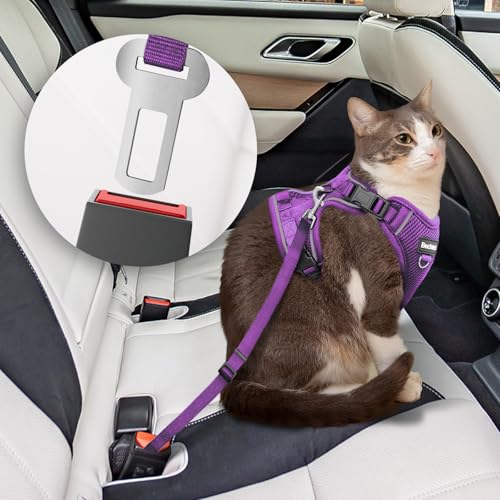 Cat Harness and Leash for Walking (Purple / X Small (4-6lb))
