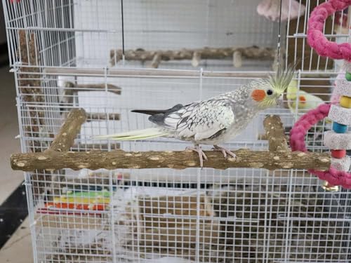 Large Natural Pepper Wood Parrot Stand Branch