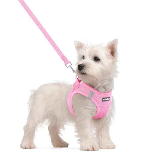 Dog Harness Small Sized and Leash Set (Light Pink / S (chest: 15.1 - 16.5"))