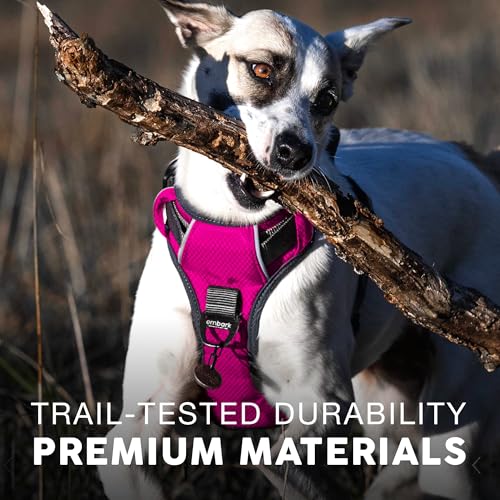 Embark No Pull Dog Harness (S / Pink)