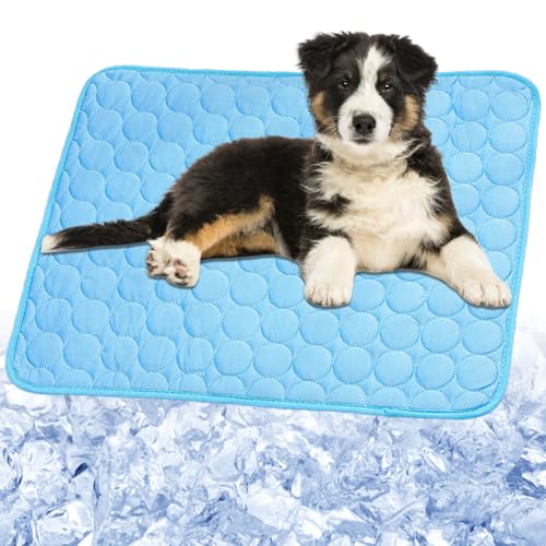 Dog Cooling Mat