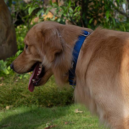 Martingale Collar for Dogs Small Blue (Small / Classic blue)
