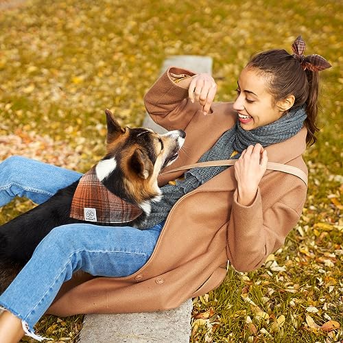 Fall Dog Bandanas Matching Dog Bandana and Scrunchie Medium Large (01-brown orange-plaid / Large)
