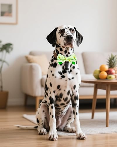 10 Pack Fruit Dog Bowties for Large Dogs Sliding on Collar (M/L)