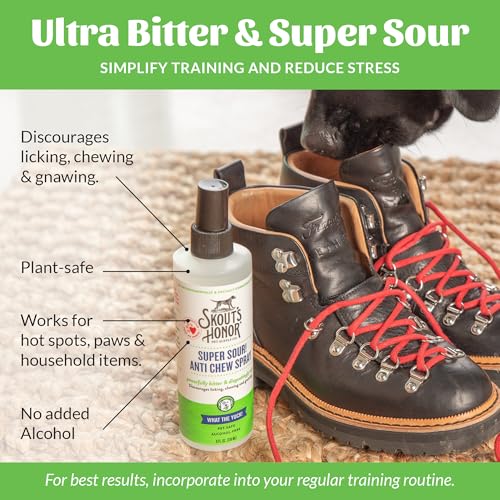 Super Sour! Anti Chew Spray for Dogs and Puppies (Super Sour- 8oz)