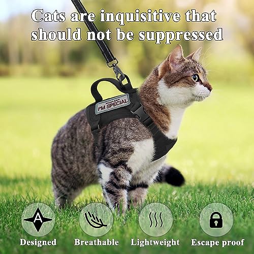 Tactical Cat Harness for Walking Escape Proof (Medium / Black)