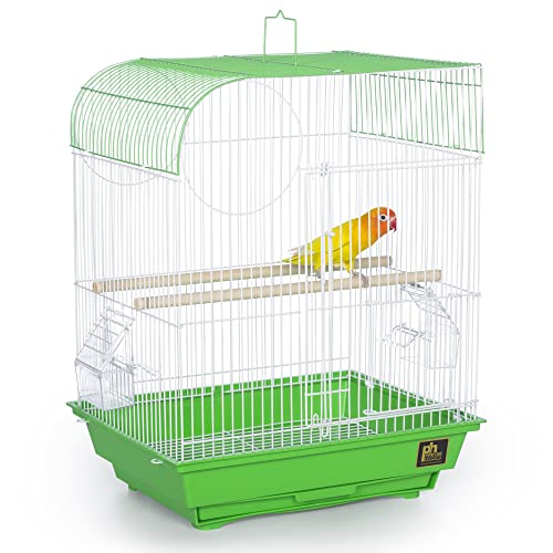 South Beach Flat Top Bird Cage (Lime Green / 10.6"L x 0.5"W x 18.0"H)