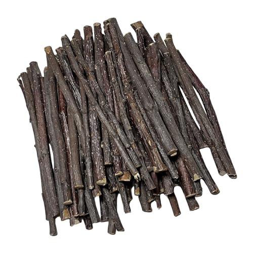600g Apple Sticks Small Animals Wooden Pet Chew Treats Toys (1.32 Pound (Pack of 1))