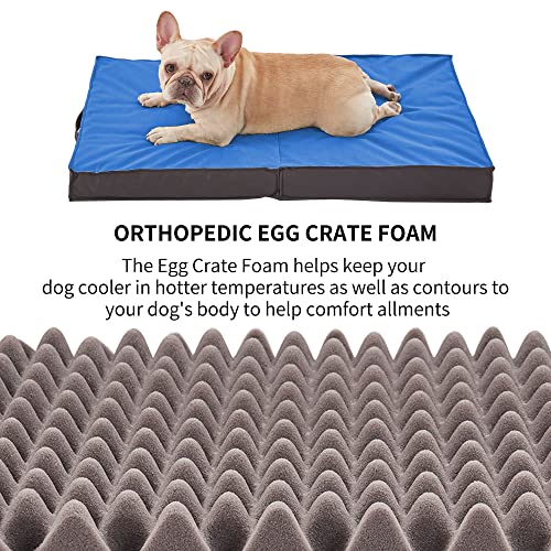 Outdoor Dog Bed (X-Large / Navy Blue)