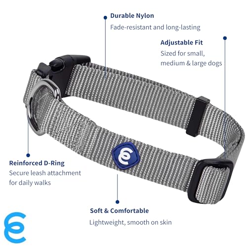 Essentials Medium Dog Collar in Flint Gray (Medium / Flint Gray)