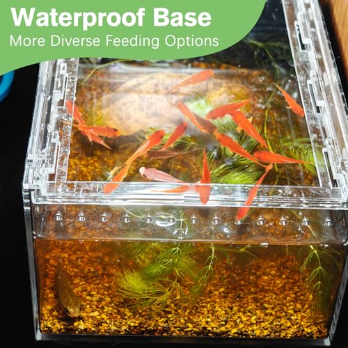 Reptile Terrarium Enclosure 8"x6"x4" Acrylic Tarantula Breeding Box Magnetic Hermit Crab Habitat Transparent Jumping Spider Cage for Insect Snail Amphibians Sling Isopods (S: Standard Version)