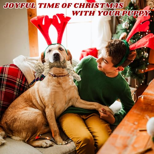 Christmas Squeaky Dog Toy (Lajiao deer)