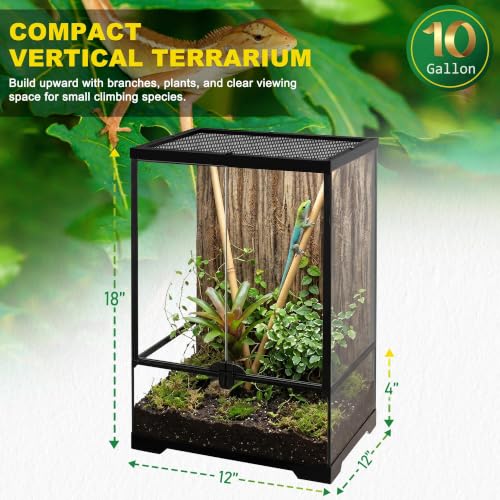 12"x12"x18" Reptile Terrarium