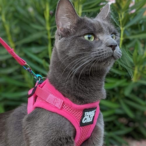 Travel Cat Harness and Leash Set (Medium / Pink)