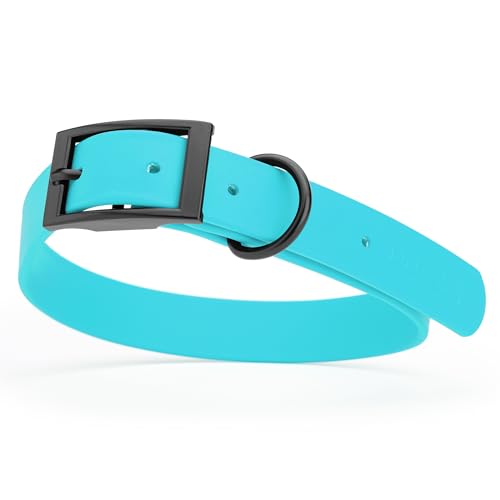 Biothane Waterproof Dog Collar Strong Coated Nylon Webbing with Black Hardware Odor (W1" x L18-22" / Sky Blue)