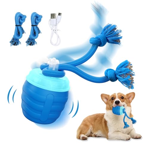 Interactive Dog Toys Ball (Blue / Medium/Large)