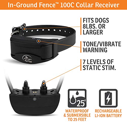 Brand Rechargeable In (2 Dog System)