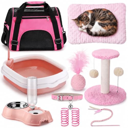 10 Pcs Kitten Starter Kit for Indoor (Classic / Medium / Pink)