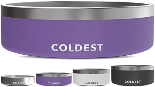 Coldest Dog Bowl (42 oz / Galaxy Purple)