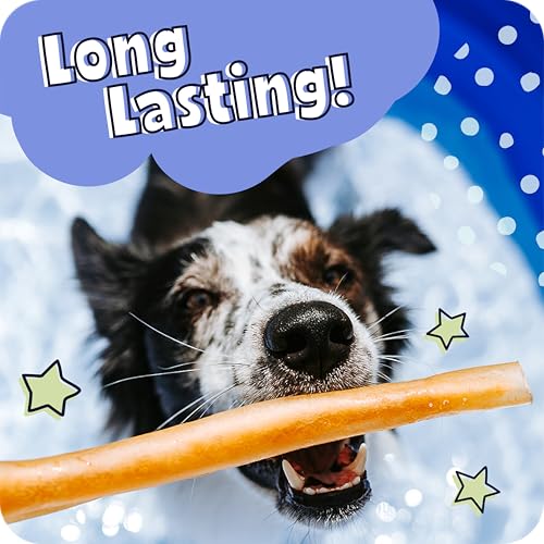 Small Collagen Sticks 100% Natural Beef Chews for Dogs (5 Count (Pack of 1))