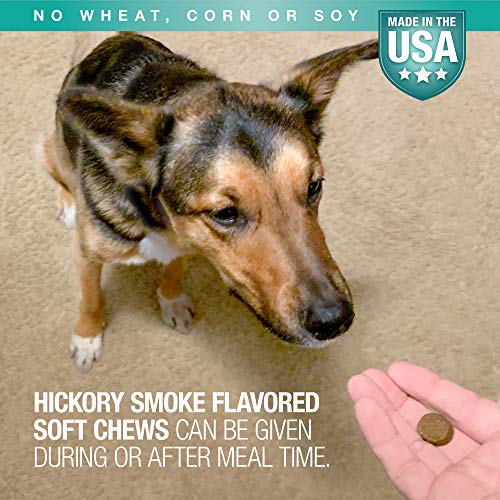 Digestive Supplement for Dogs (Standard Strength 90 ct Dog)