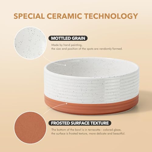 Elevated Dog Bowls (Double Bowls with Stand- Vanilla White / 7.6CUPS)
