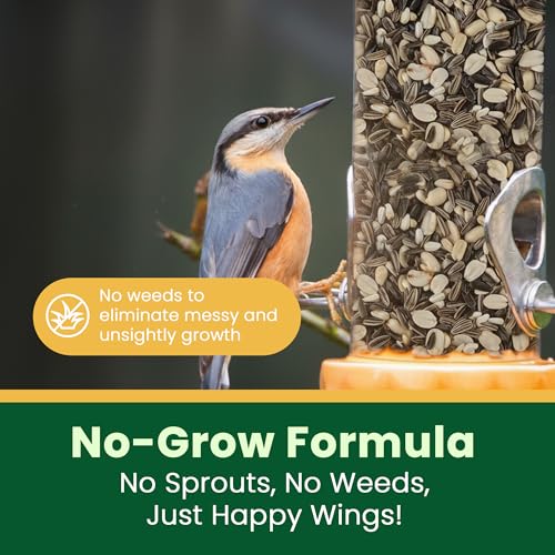 5LB Songbird Blend Bird Food (5 Pound (Pack of 1))