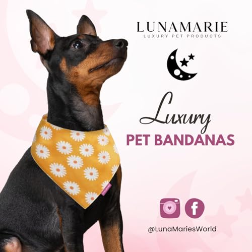 Luxury Pet Birthday Bandanas (Daisies / Small)