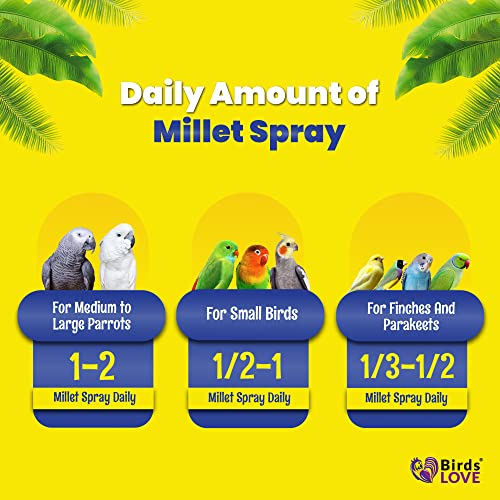 25lbs Economy & Special Spray Millet for Birds (25 Pound (Pack of 1))