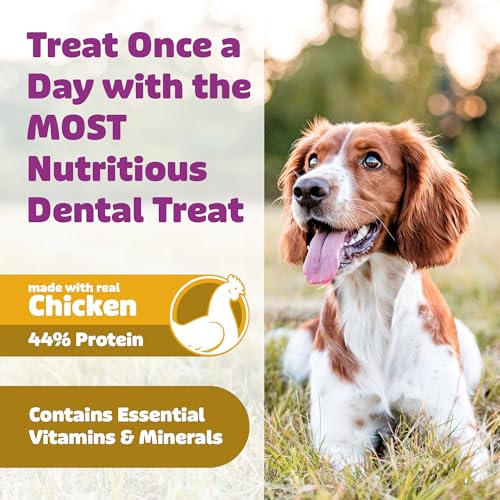 Dog Dental Treats (36 Ounce)