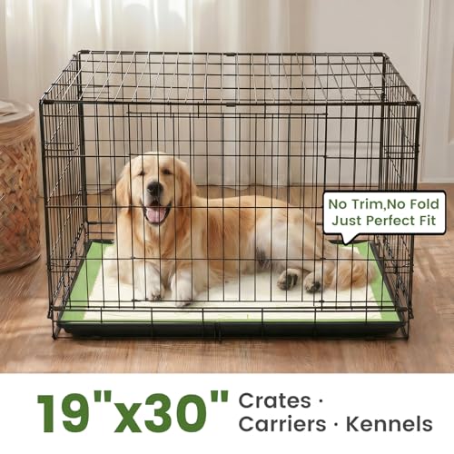 Pee Pads for Dogs 19"X30" with Adhesive 10 Count (19"x30"(10Ct))