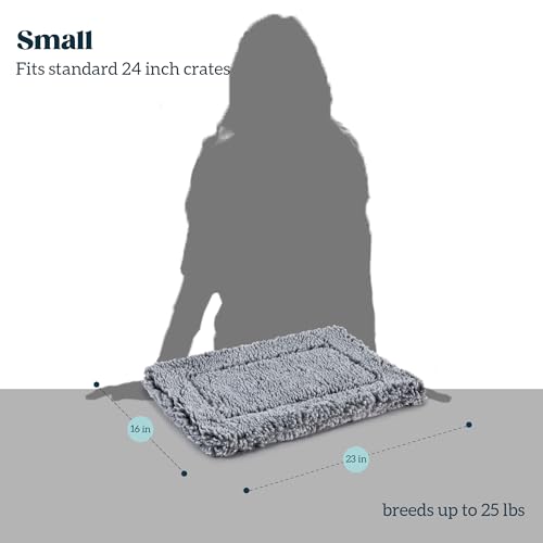 Stoutwool Indestructible Dog Bed (23.0"L x 16.0"W x 2"Th / Charcoal)
