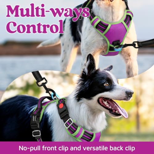 Dog Harness Small Sized (Purple & Light Green / Small)