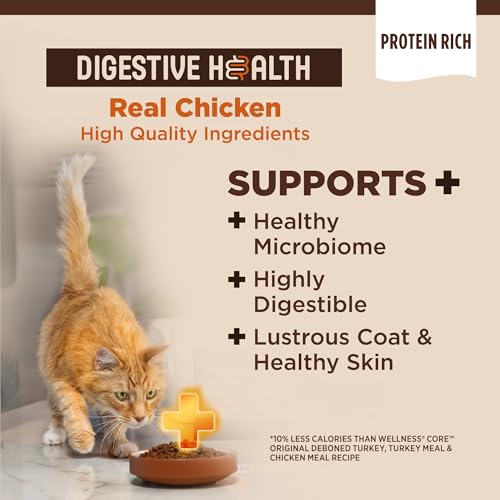 CORE+ Adult Dry Cat Food (5 Pound (Pack of 1))