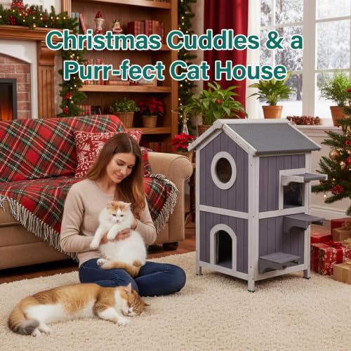 Outdoor Cat House (M Insulated Cat House)