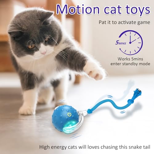 Interactive Cat Toys Ball for Indoor Cats Fast Rolling on Carpet
