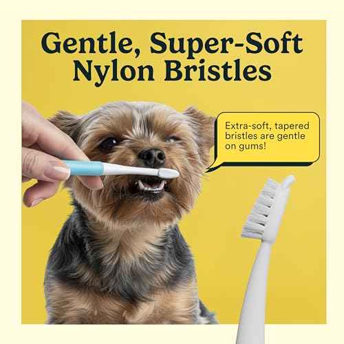 Microbrush Vet Approved Cat Toothbrush (Rose Pink 2 Pack)
