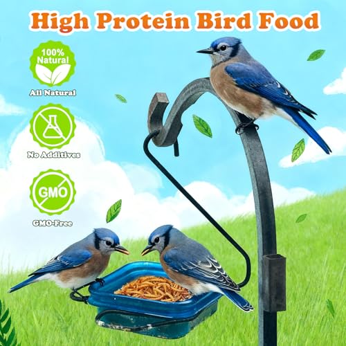 Dried Mealworms 2 LB (2 Pound (Pack of 1))