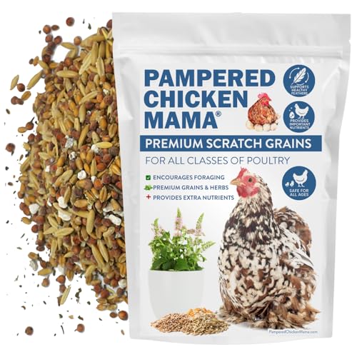 Premium Scratch Feed Treat (10 Pound (Pack of 1))