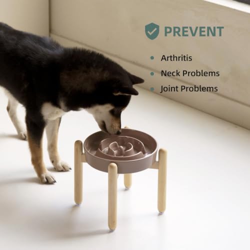 Elevated Slow Feeder Dog Bowls (Brown Coffee)