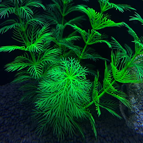 Artificial Aquarium Plants Plastic (10pcs Green)