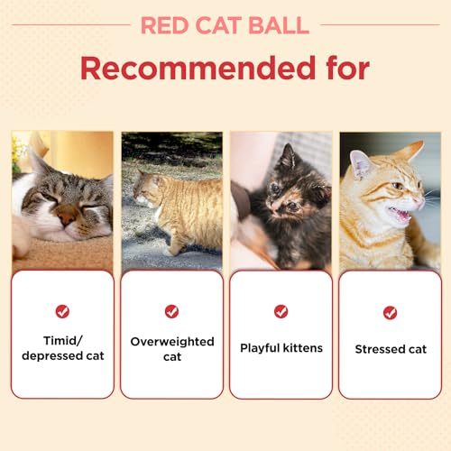 Red Cat Ball 2.7 inch (W/O Bell / 2.7inch)