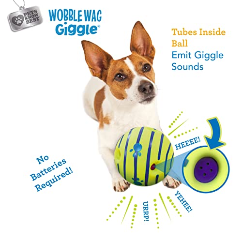 Ball Interactive Dog Toy (Original)