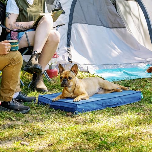 Cooling Dog Bed (Medium / Blue)